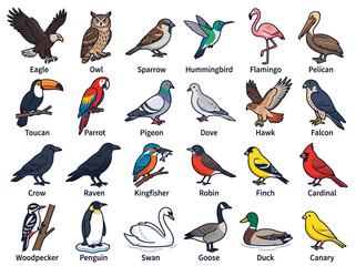 Naklejka premium A collection of various bird species illustrated in a colorful cartoon style.