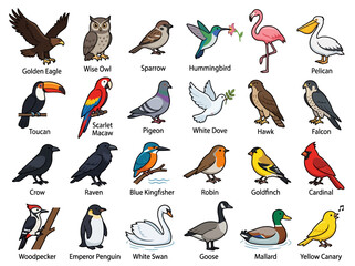 Naklejka premium A comprehensive collection of various bird species illustrated in a colorful cartoon style.