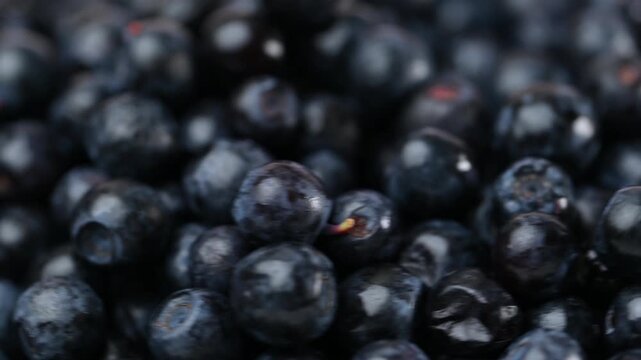 Fresh organic blueberries background.