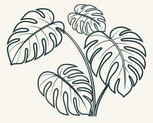 Tropical plant leaves vector art, monstera and fern leaves, berry branch illustration, botanical elements, hand-drawn sketch style, isolated on white background. © Sirajum
