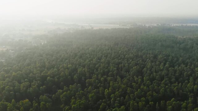 Aerial view of vast terai forest expanse near Jhapa at dawn or dusk; hazy atmosphere with a large water body visible on the horizon