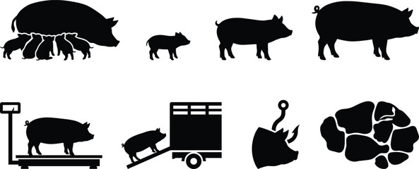 Black silhouette collection of pig farming lifecycle including sow with piglets, livestock transport, and pork production © Designer Arif