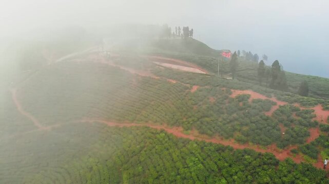 Aerial view of a Kanyam chiyabaari hillside with tea bush rows; a prominent red building visible through the mist on the ridge; winding dirt path through the plantation
