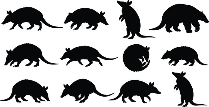 Armadillo Silhouette Collection Isolated Wildlife Mammal Vector Set