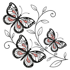 Fototapeta premium Three colorful butterflies with floral vines vector graphic design illustration abstract drawing art set collection decorative element insect animal wildlife nature symbol pink.