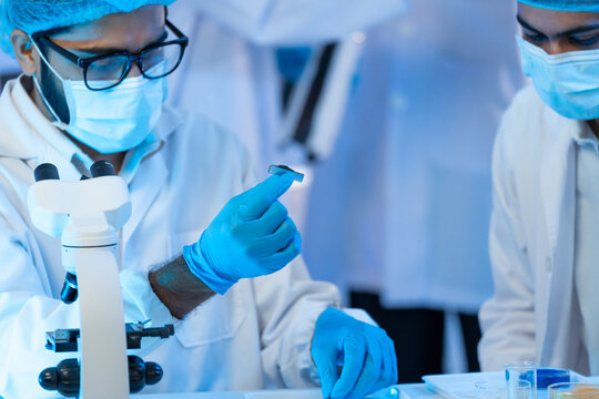 Male researcher in mask, glasses and blue gloves examining small specimen with tweezers at microscope, colleague watching in blue lit laboratory.