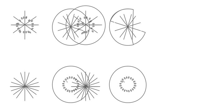 A clean flat vector line icon showing a kiwi cross section, useful for nutrition charts, fresh juice branding, grocery signs, and recipe cards.