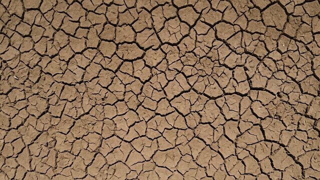 Dry cracked earth soil texture