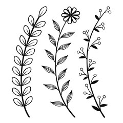 Vertical botanical doodle set featuring leafy branches and wildflower stems with berries in black line art style for minimalist organic design hand drawn decorative elements on white background art. © mo