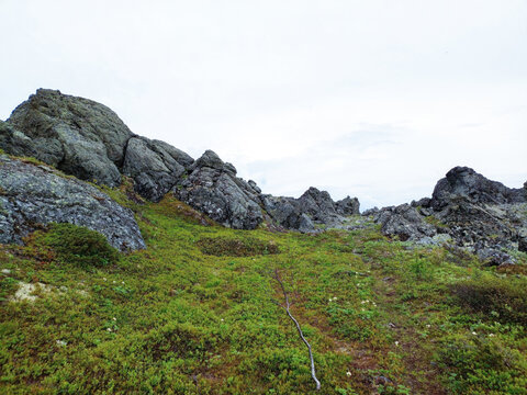 Mountain landscape with green grass and rocks. North Urals.