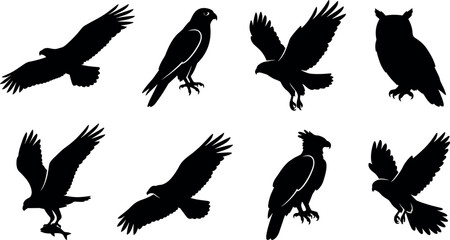 Naklejka premium Birds of prey silhouettes hawk eagle falcon and owl wild raptors black vector set in image_07c878.png