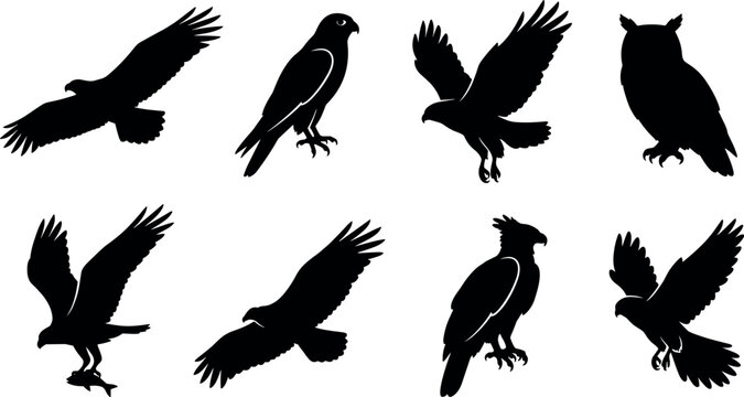 Birds of prey silhouettes hawk eagle falcon and owl wild raptors black vector set in image_07c878.png