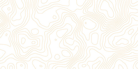 Abstract topographic map contour lines create an intricate, repeating pattern, suggesting elevation and geographic exploration with a minimalist aesthetic. © Queality Full