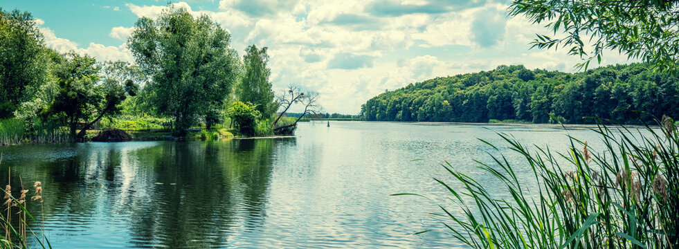 View of a lake with a beautiful reflection on the water. Rural summer landscape