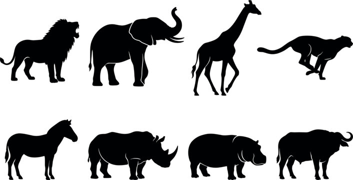 Wild African safari animals silhouettes collection lion elephant giraffe and zebra black vector shapes in image_07db08.png