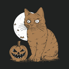 Halloween cat  © Paradiso