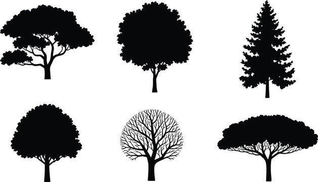 Tree silhouette vector illustration set with various species including pine oak and bare winter branches for forest nature graphic design.