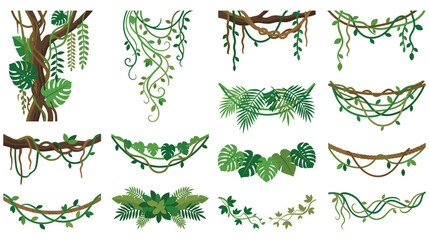 Jungle vine and tropical leaf hanging elements decoration. © GW