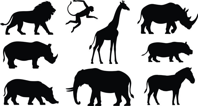 Safari animal silhouette vector illustration set with various wild african mammals like lion elephant giraffe rhino zebra and monkey for wildlife design.