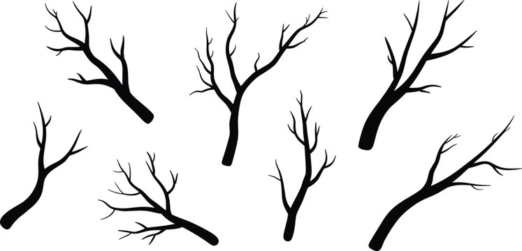 Bare branch silhouette vector illustration set with various dead tree twigs gnarled boughs and dry wood elements for autumn halloween landscape design.