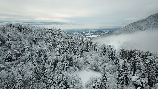 Aerial view of the snow-covered forest along the Route du Col de la Faucille, with dense fog rolling over the mountain slopes in Gex, Auvergne-Rhone-Alpes, France.