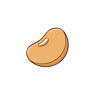 Simple vector illustration of a single brown kidney bean with a lighter hilum detail