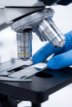 Laboratory technician positioning microscope slide under objective lens for analysis