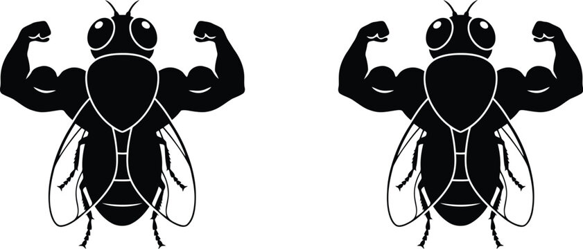 Screw Worm Fly Cartoon Insect with Muscular Bodybuilder Physique, Cochliomyia Macellaria, and Flesh Feeding Larvae Concept
