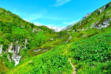 Green mountain pastures in summer at the Mauer alpine valley in High Tauern in Central eastern alps, East Tyrol, Austria © kato08