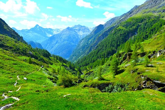 View of mountain pasture and larch forest with mountain peaks covered Mauer alpine valley in High Tauern in Central eastern alps, East Tyrol, Austria