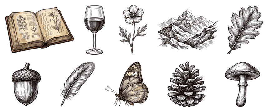 Nature and vintage elements icons set. Autumn and natural objects concept. Includes open book, wine glass, flower, mountain, oak leaf, acorn, feather, butterfly, pine cone, mushroom