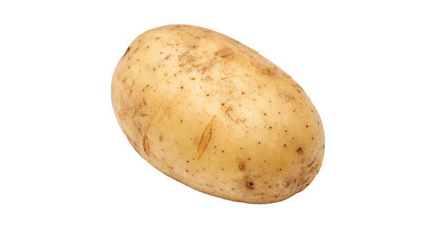 Single raw organic yellow potato whole isolated on a transparent background vegetable cooking ingredient