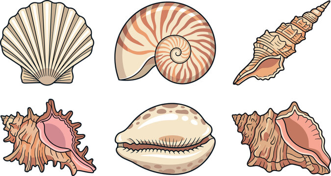Vintage hand drawn seashell vector icon set featuring detailed marine mollusk shells isolated on white background for beach vacation summer designs