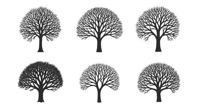 Vector illustration of set of bare winter trees silhouettes on a transparent background