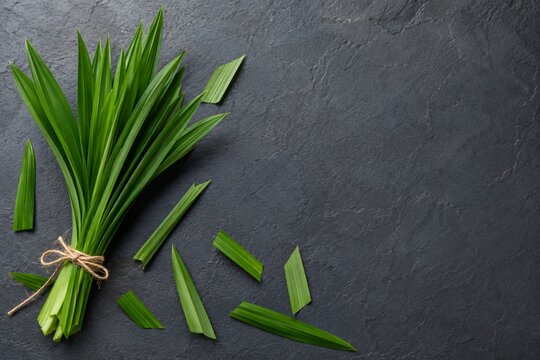 Fresh pandan leaves bundle tied with twine on dark slate background