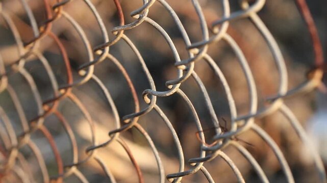 Rusty metal fence close up with weathered texture corrosion and aged steel background
