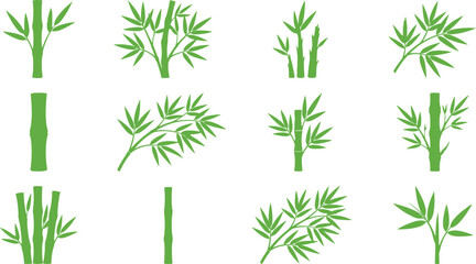 Fototapeta premium Set of green bamboo stalks and leaves