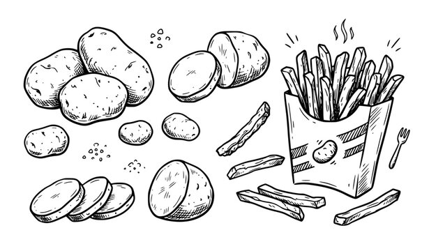 Hand Drawn Potato and French Fries Doodle Set Vector Illustration