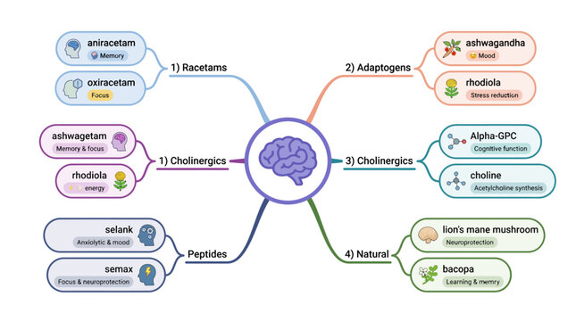 Comprehensive Nootropics Categories and Brain Enhancement Mind Map