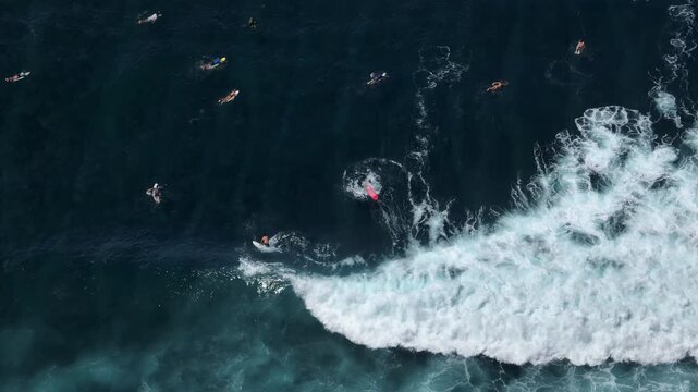 People enjoying active water sport, surfing on breaking ocean waves while paddling and waiting for the perfect swell at a popular Bali surf beach on the Bukit Peninsula. Aerial view drone footage