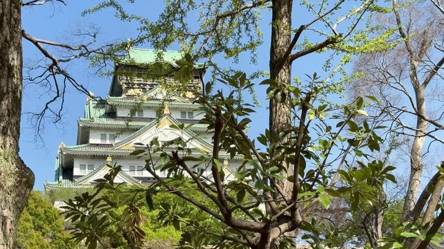 Historic Osaka Castle rises above its stone walls and moat beneath a clear blue sky in Osaka, Japan. A scenic travel destination framed by trees in early spring.