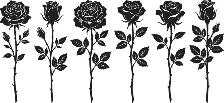 Set of black rose silhouettes with stems and leaves isolated on white background for floral design projects