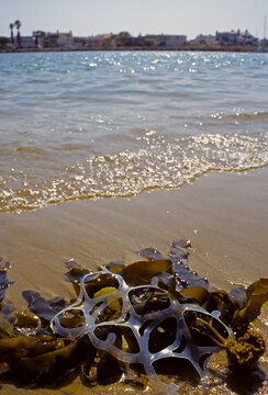 Discarded six pack plastic ring in ocean.