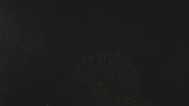 Forest canopy silhouette in near total darkness, steady rain during a nighttime thunderstorm, a lightning flash briefly reveals the trees against a heavy black sky