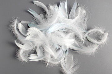Fototapeta premium There is a lot of light white fluff on the grey background.