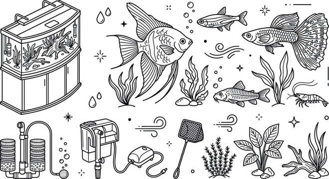 Home Aquarium and Aquascaping Vector Set with Angelfish Guppy Shrimp Water Filters Net and Aquatic Plants for Pet Care Shop Designs (21 words)