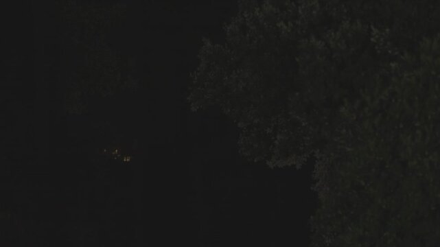 Heavy rain falls on a dark stormy night, a faint glowing window shines in the distance, tree silhouettes lit by a brief lightning flash under a black stormy sky
