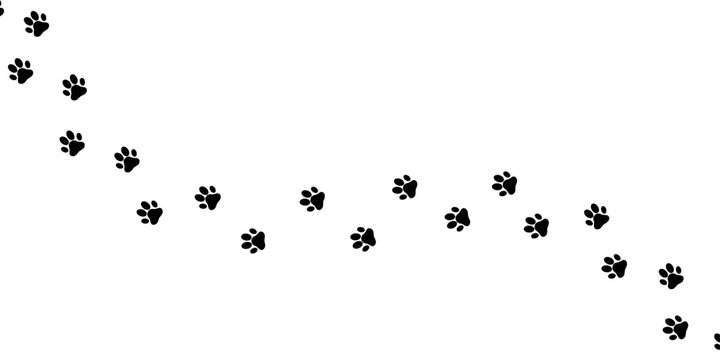 Animal Paw Prints Trail Minimal Black Silhouette Illustration