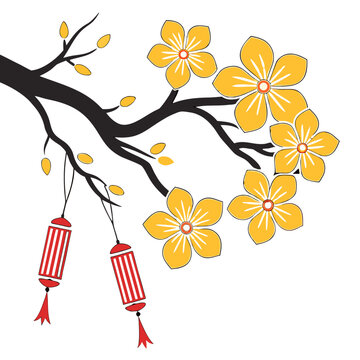 cherry blossom branch