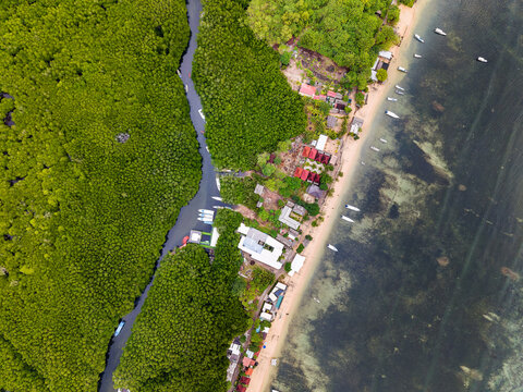 High angle view of winding river through green mangroves on Nusa Lembongan island